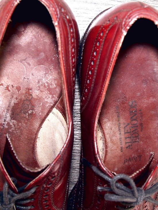 Allen Edmonds LLOYD Wingtip Oxford 9.5 D Oxblood * add $15 new Trees main image 10